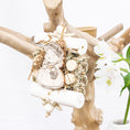 Load image into Gallery viewer, Duchess - Bunny Bloom Collection
