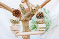 Load image into Gallery viewer, Winter Woodland - Swing