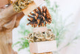 Load image into Gallery viewer, Winter Woodland - Swing