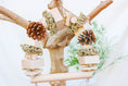 Load image into Gallery viewer, Winter Woodland - Swing