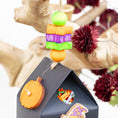 Load image into Gallery viewer, Midnight Whiskers- Halloween Collection