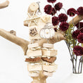 Load image into Gallery viewer, Bewitched - Halloween Collection