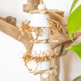 Load image into Gallery viewer, Timeless Treasures - Natural Toy