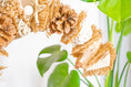 Load image into Gallery viewer, Botanica Breeze - Natural Toy