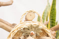Load image into Gallery viewer, Quacktastic Adventures Basket - Natural Toy