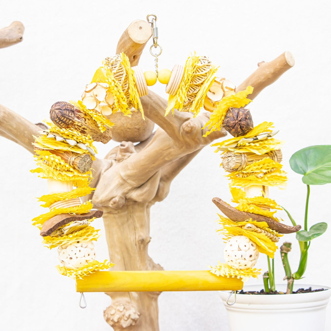 Buzzing into Adventure - Bee Collection