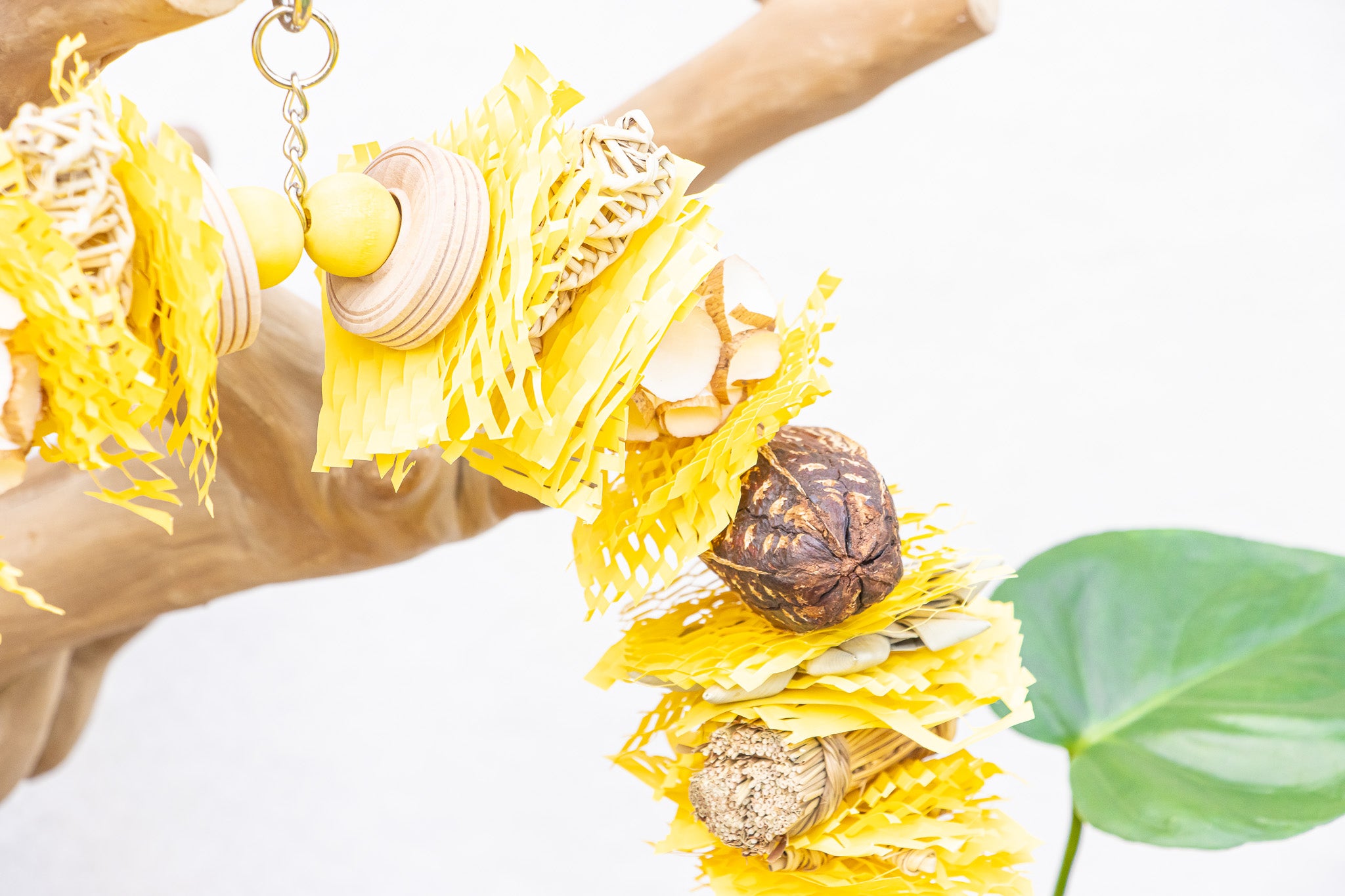 Buzzing into Adventure - Bee Collection