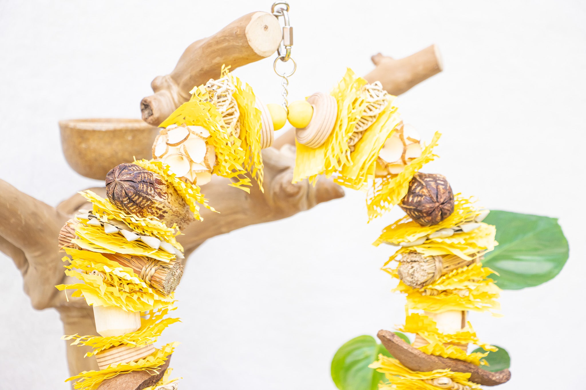 Buzzing into Adventure - Bee Collection