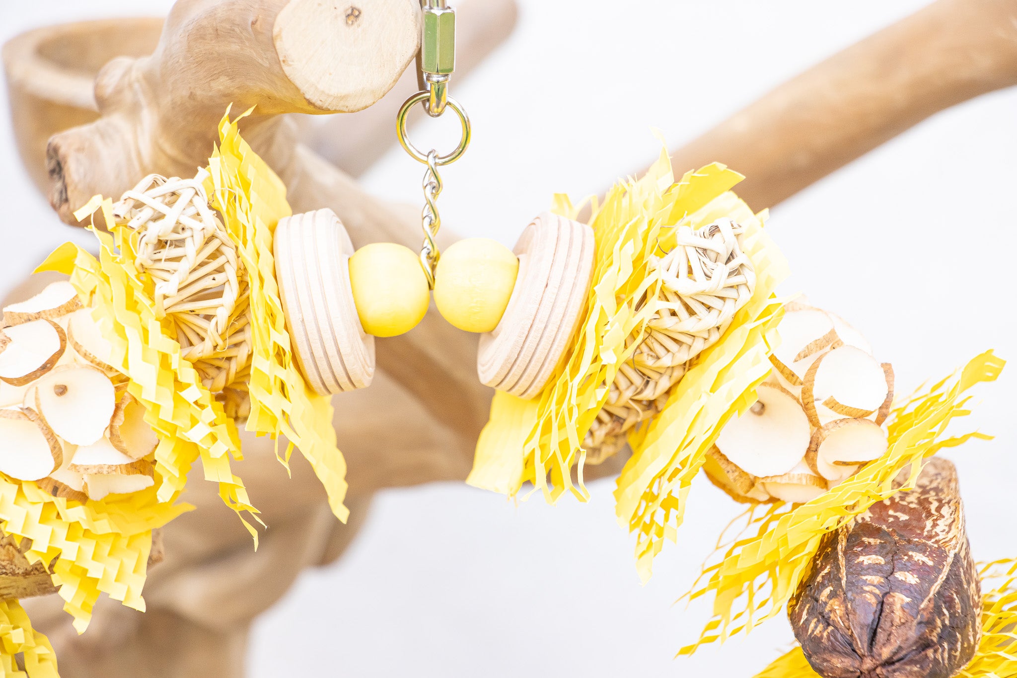 Buzzing into Adventure - Bee Collection