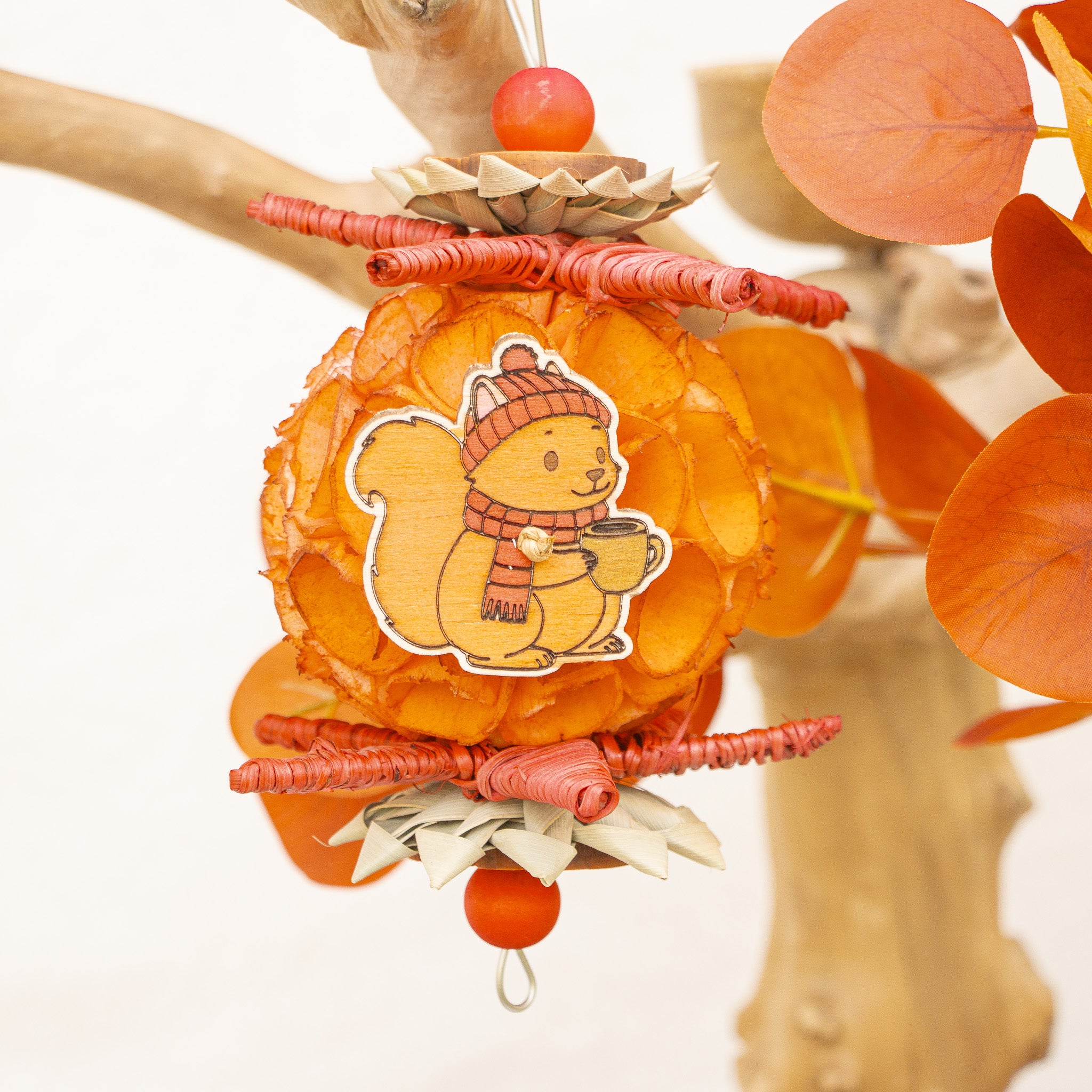 Nuts About Autumn - Autumn Collection