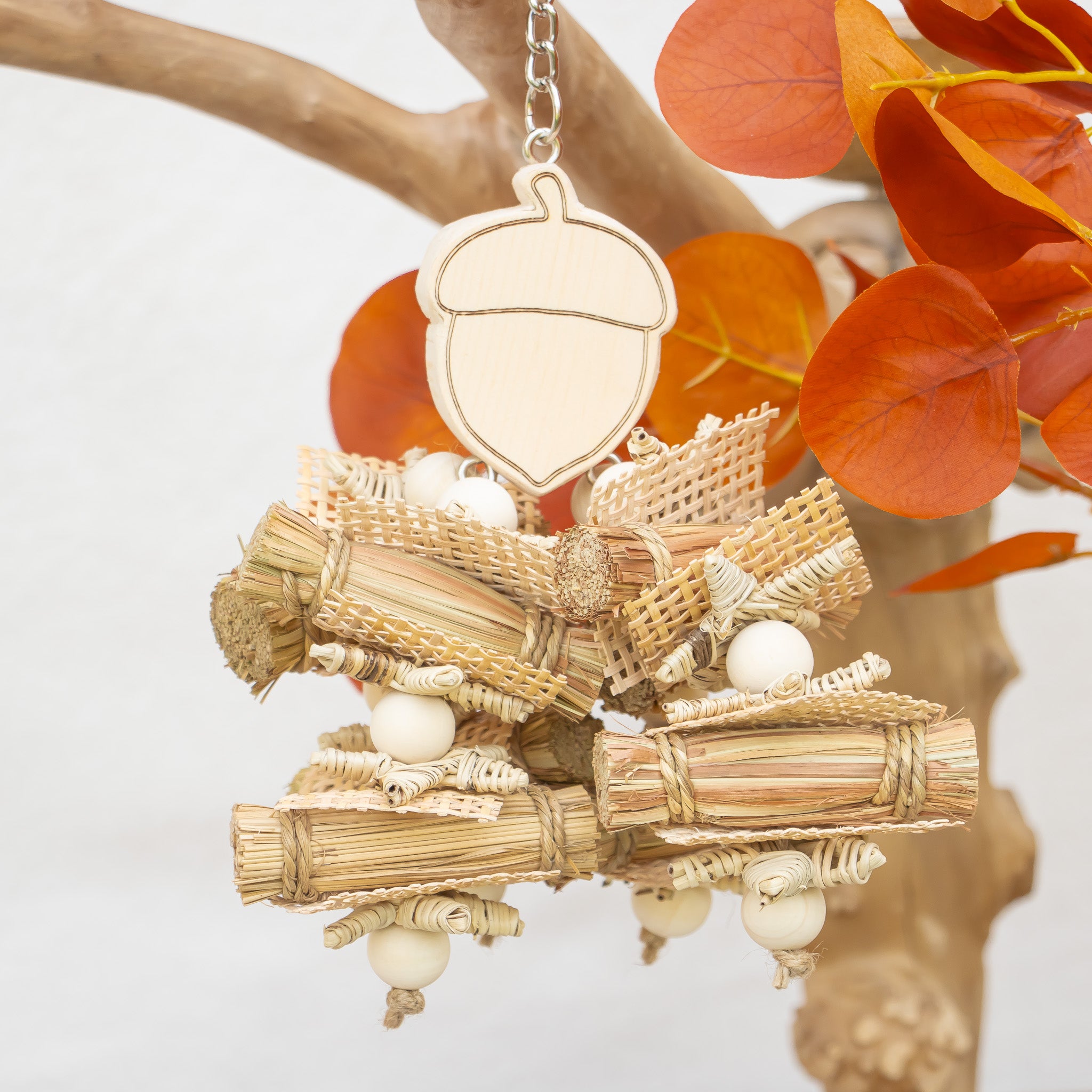 Acorn Whisper - Autumn Collection