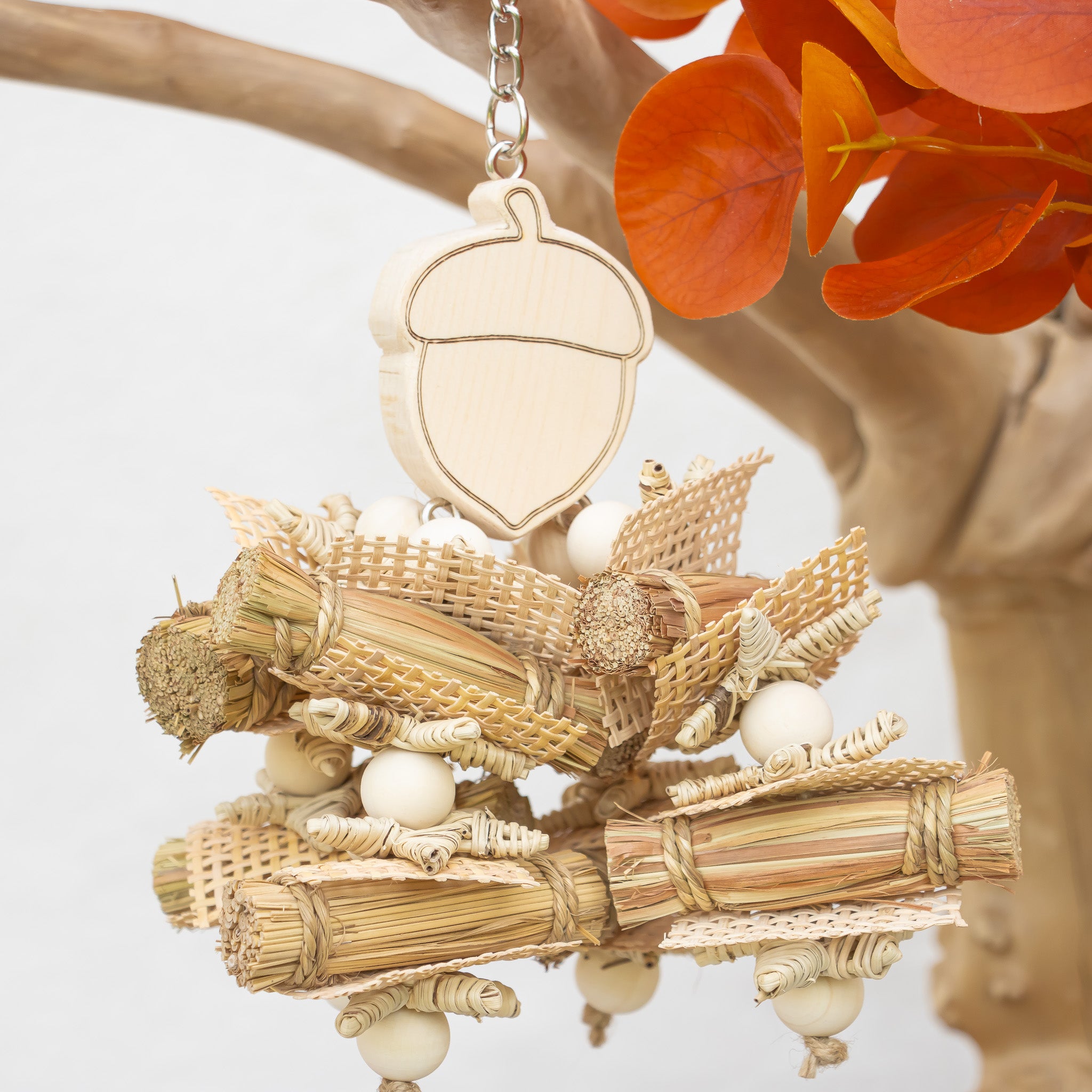 Acorn Whisper - Autumn Collection