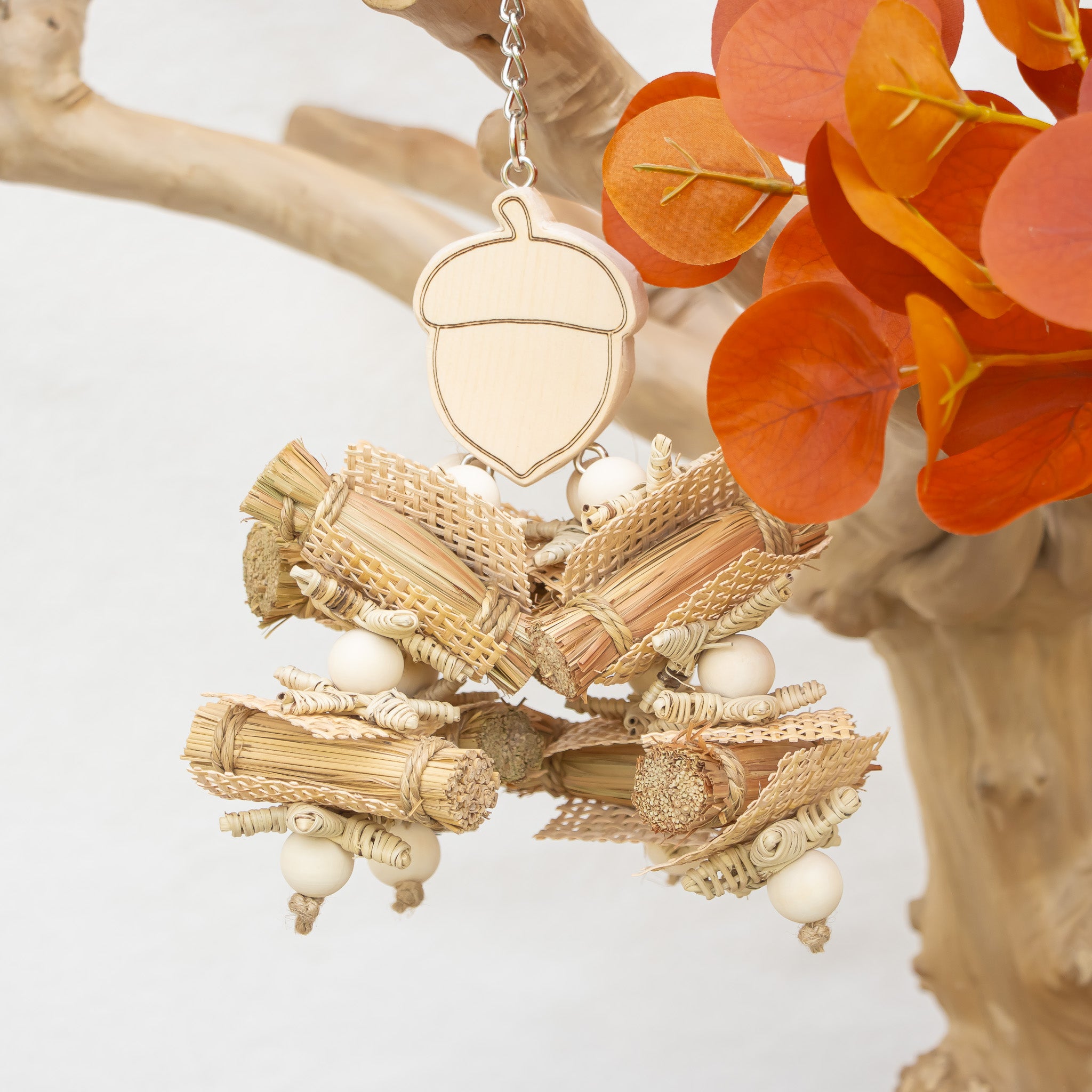 Acorn Whisper - Autumn Collection