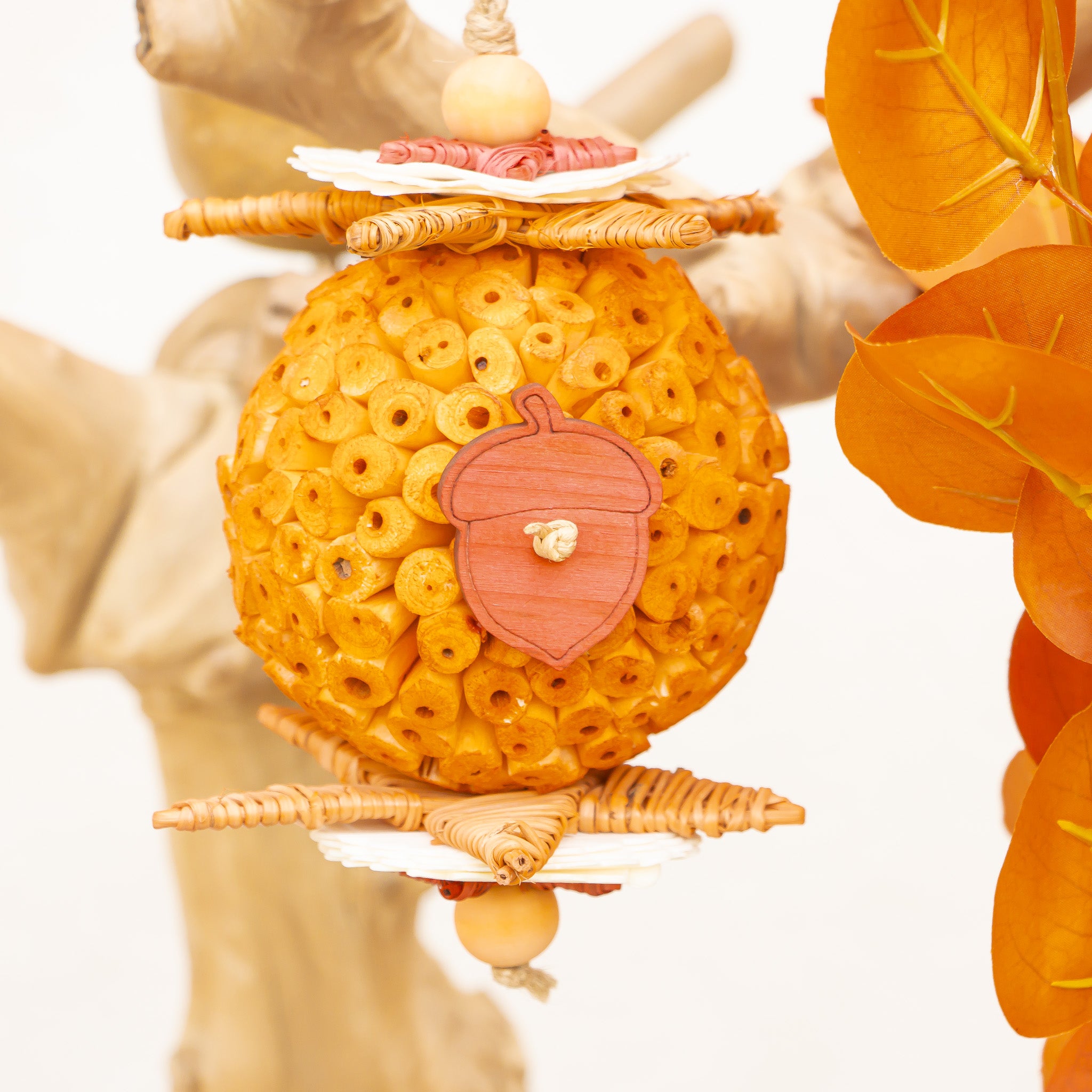 Woodland Acorn - Autumn Collection