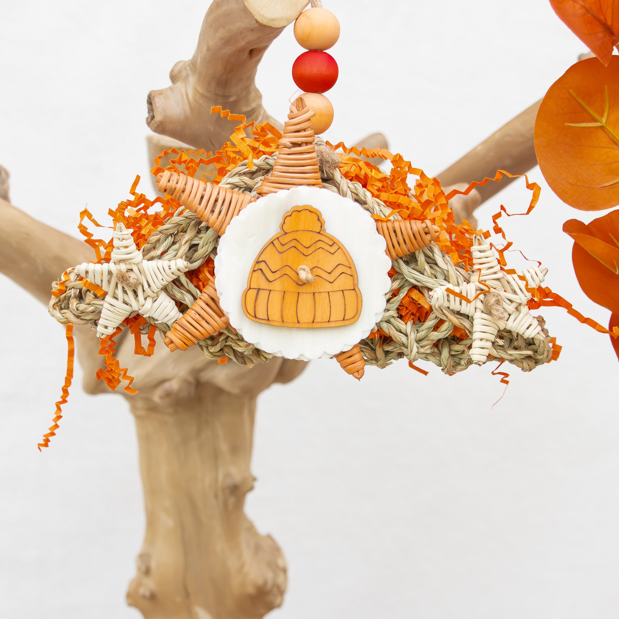 Cozy Hat & Harvest - Autumn Collection