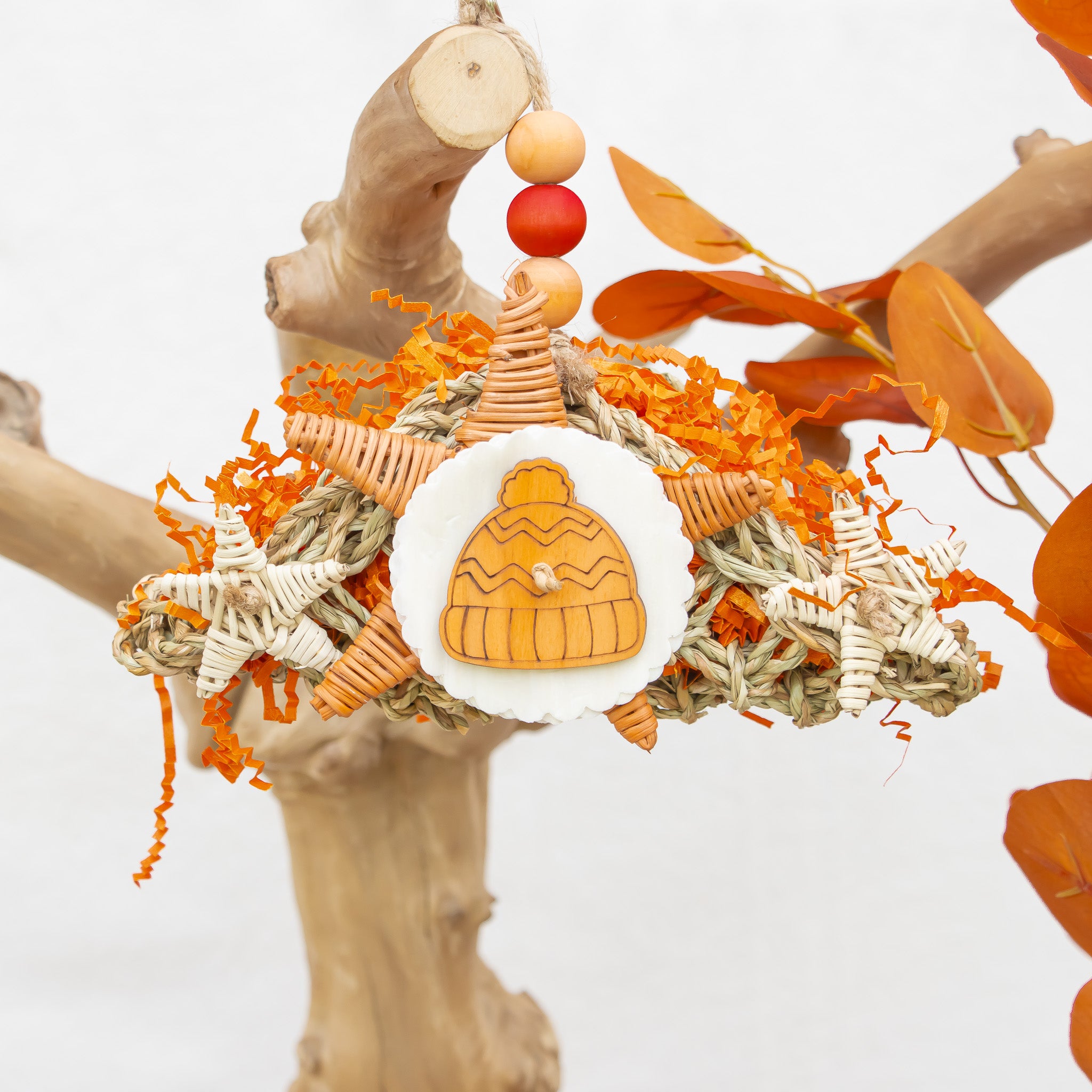 Cozy Hat & Harvest - Autumn Collection