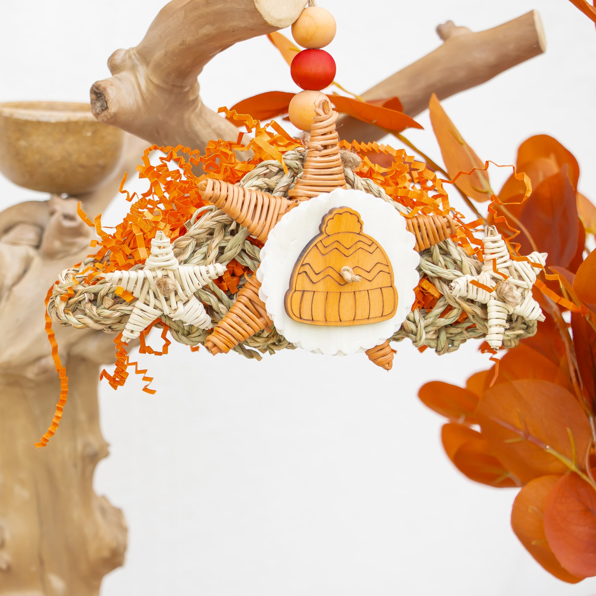 Cozy Hat & Harvest - Autumn Collection