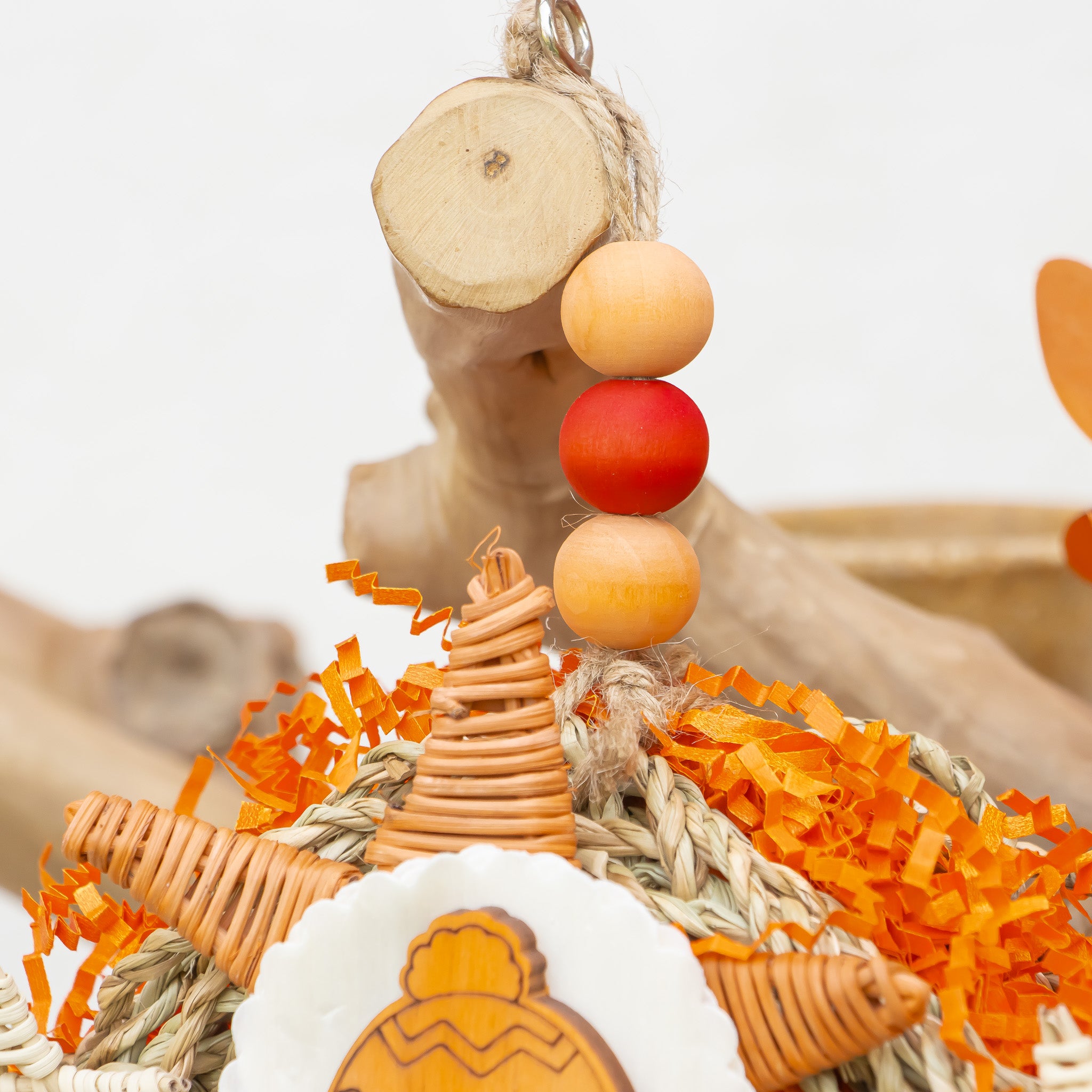 Cozy Hat & Harvest - Autumn Collection