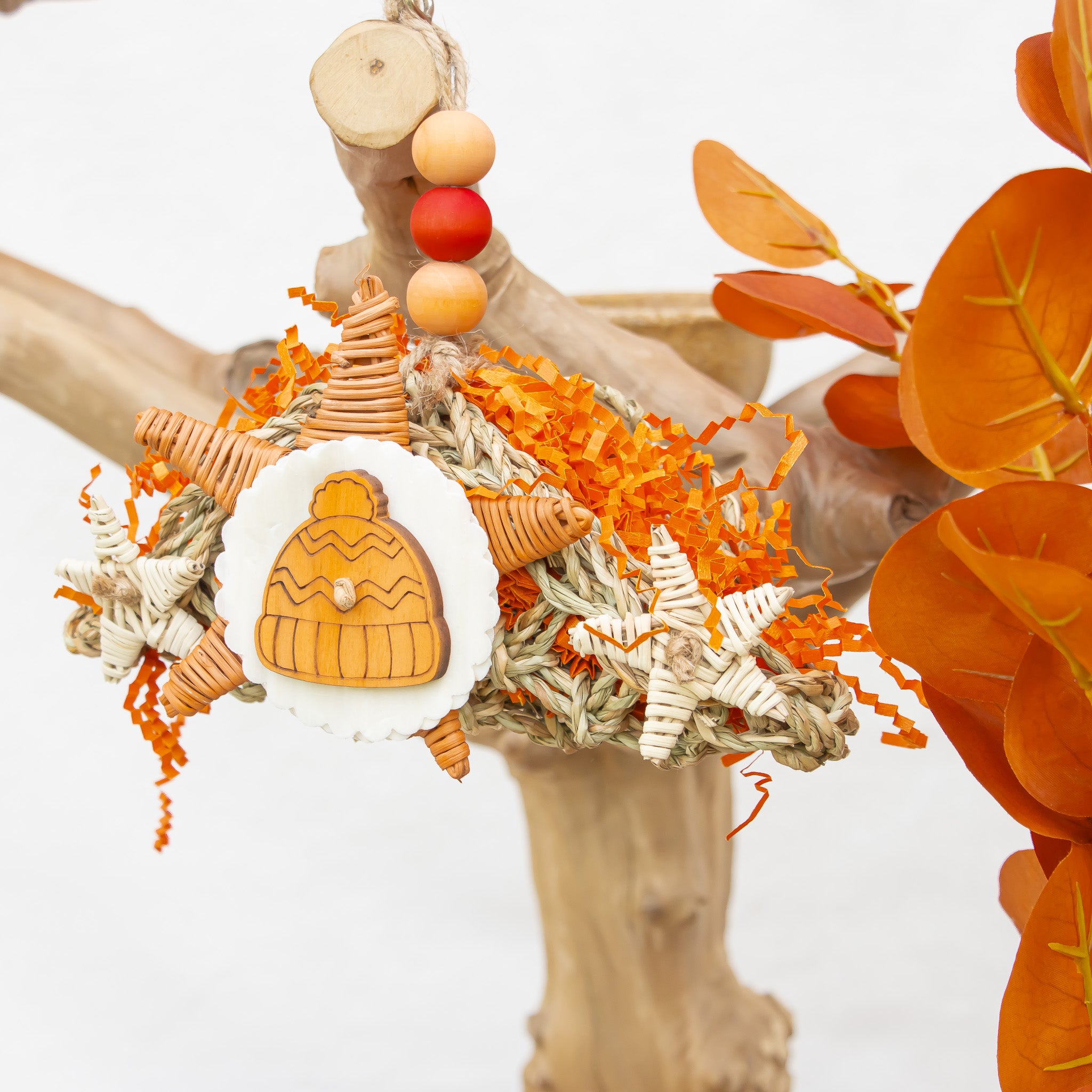 Cozy Hat & Harvest - Autumn Collection