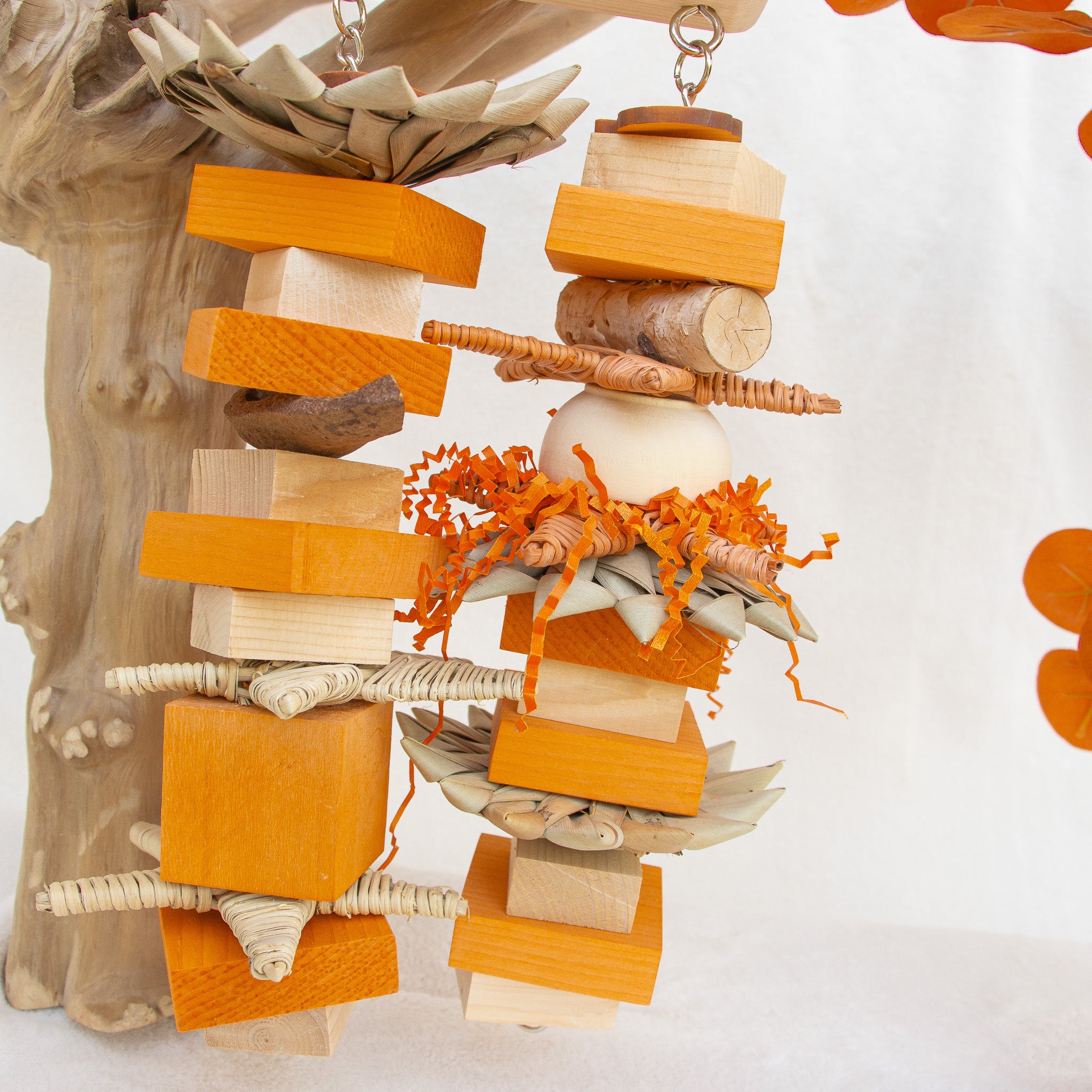 Busy Squirrel Bites - Autumn Collection