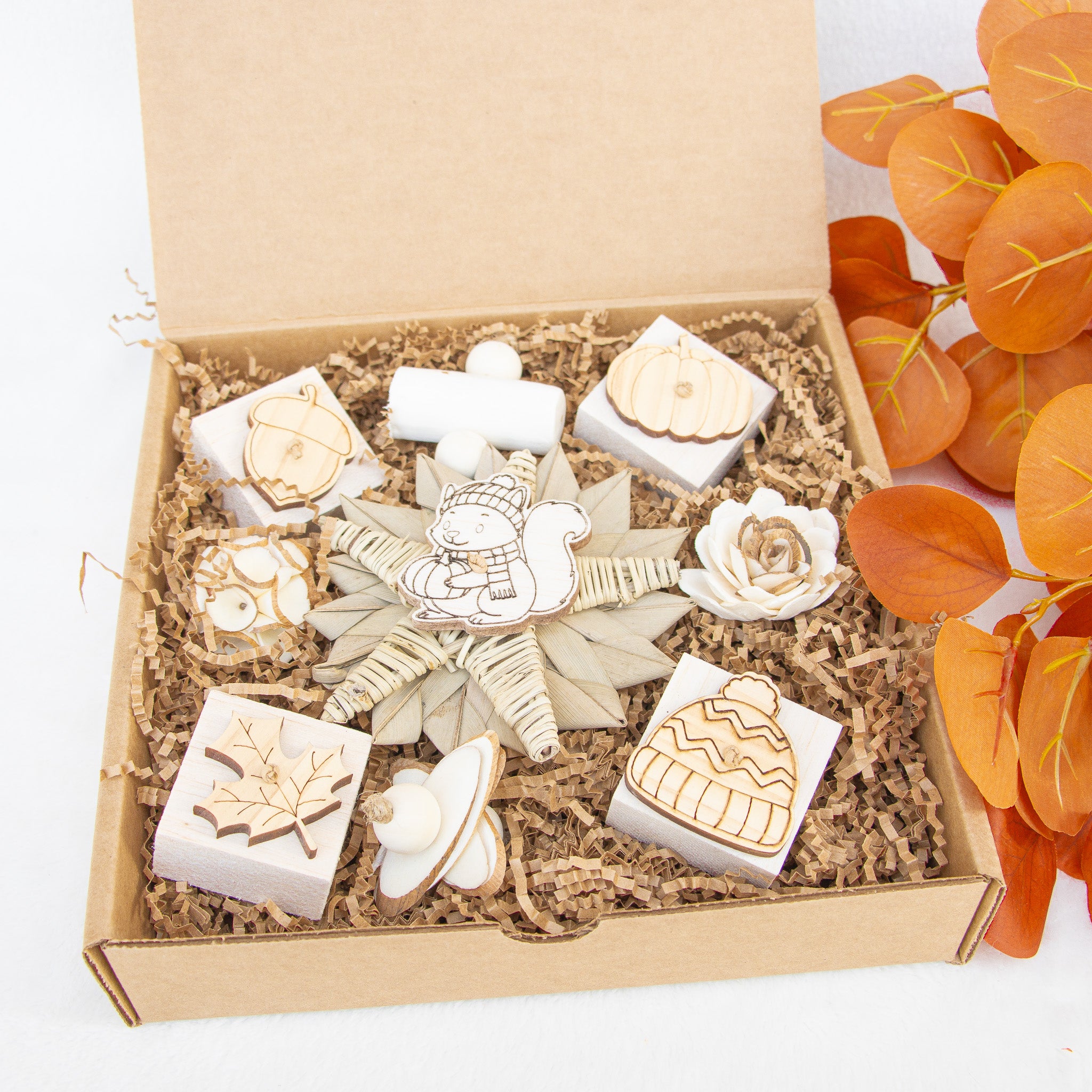 Sweet Pumpkin Harvest - Autumn Collection