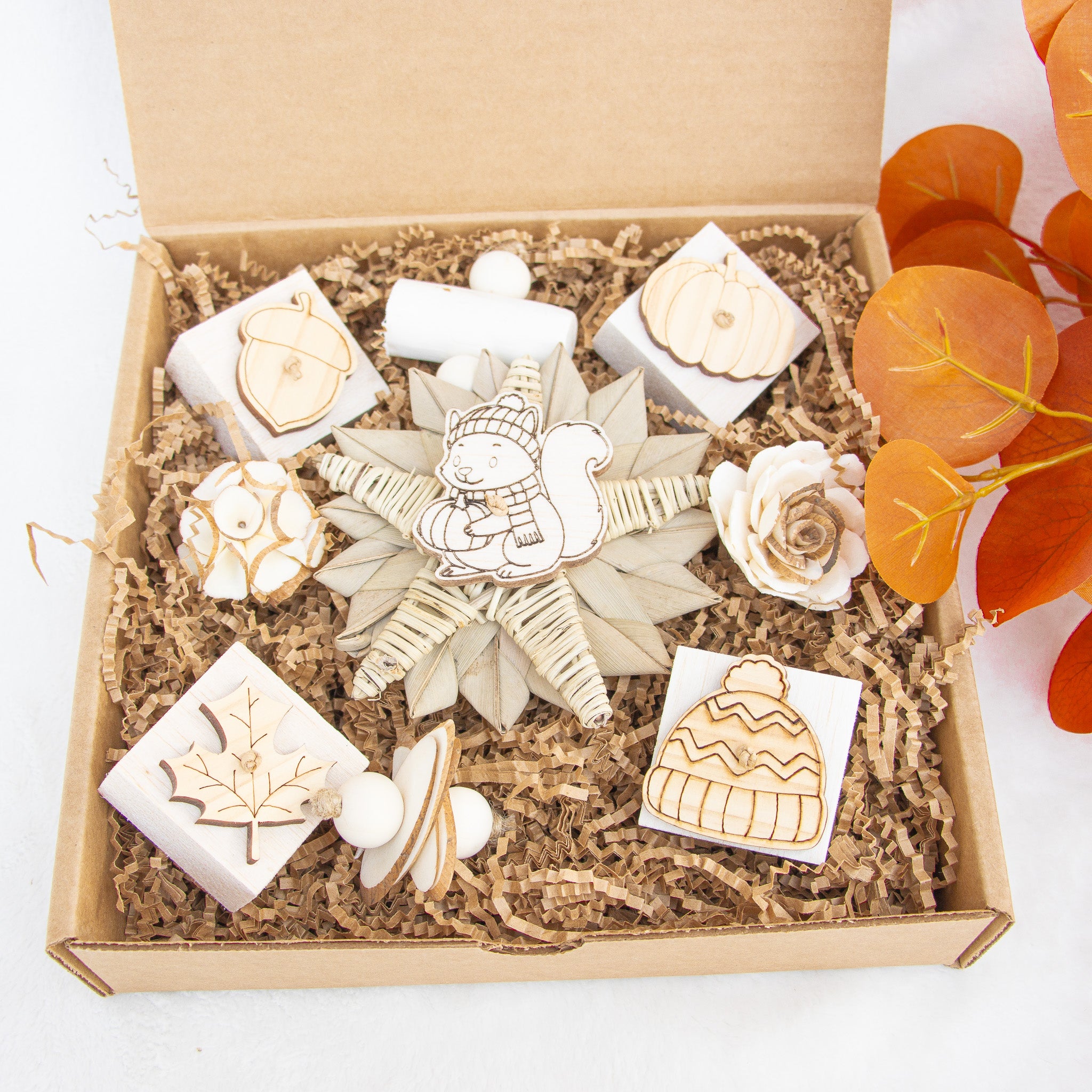 Sweet Pumpkin Harvest - Autumn Collection