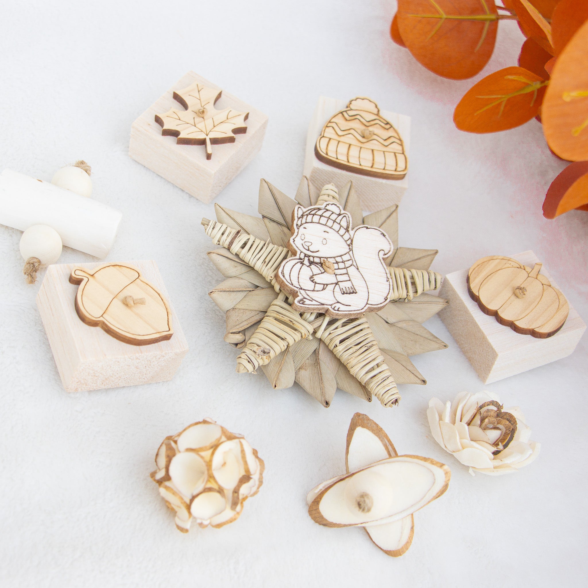 Sweet Pumpkin Harvest - Autumn Collection