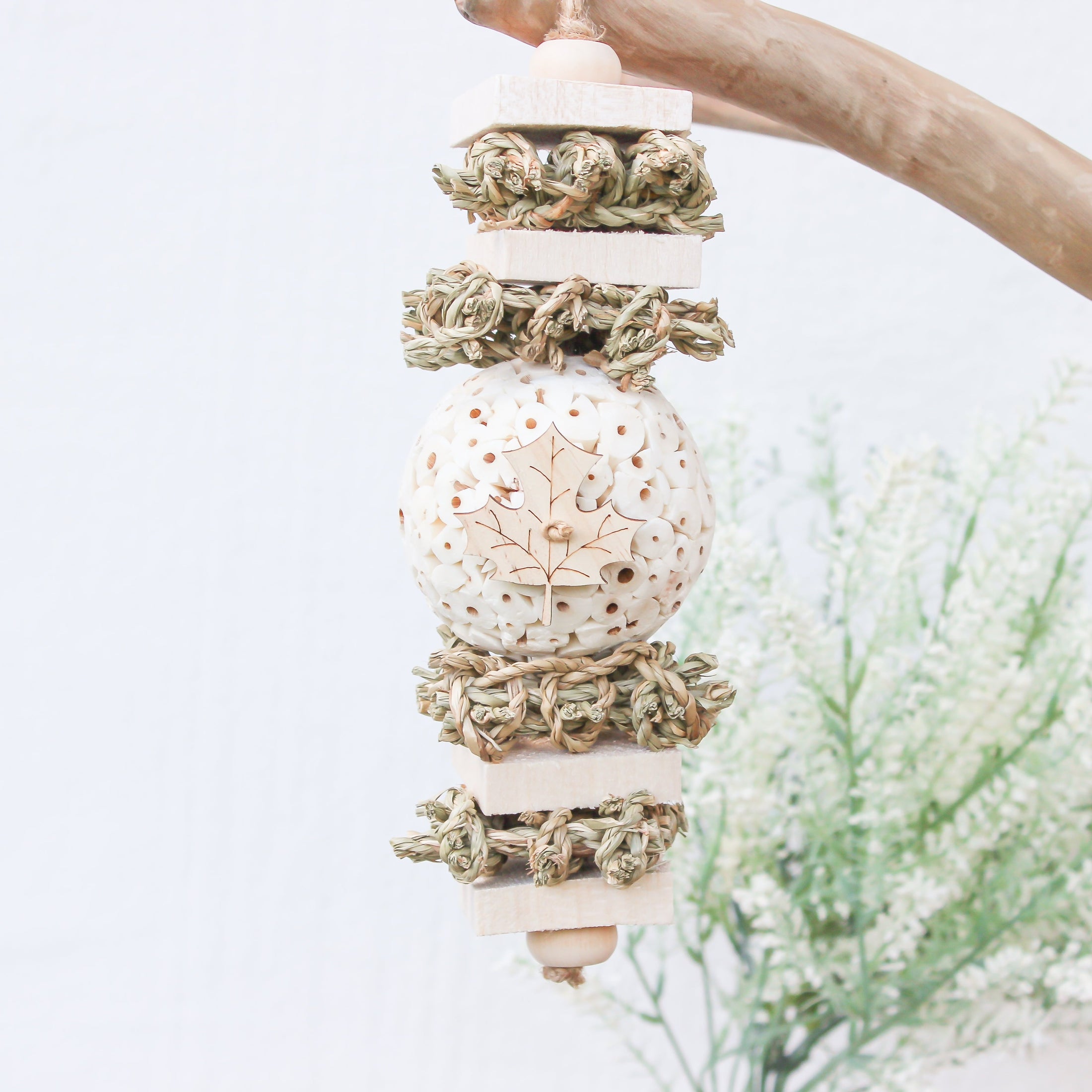 Fall Forest - Autumn Collection