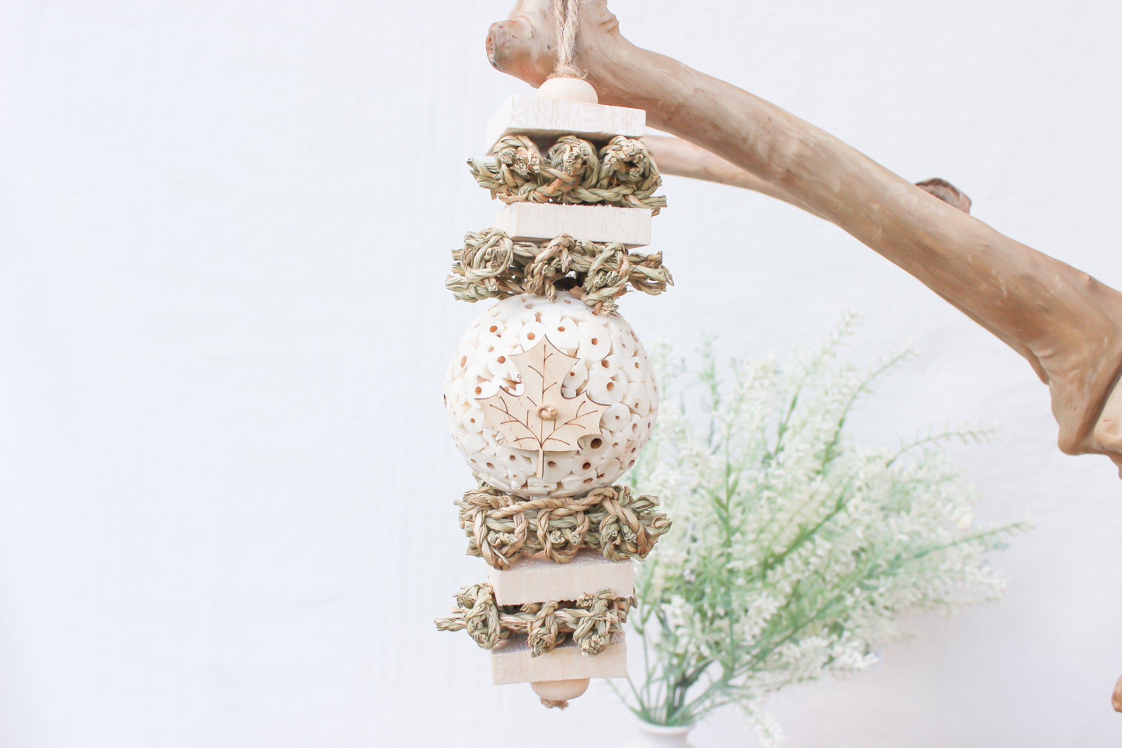 Fall Forest - Autumn Collection