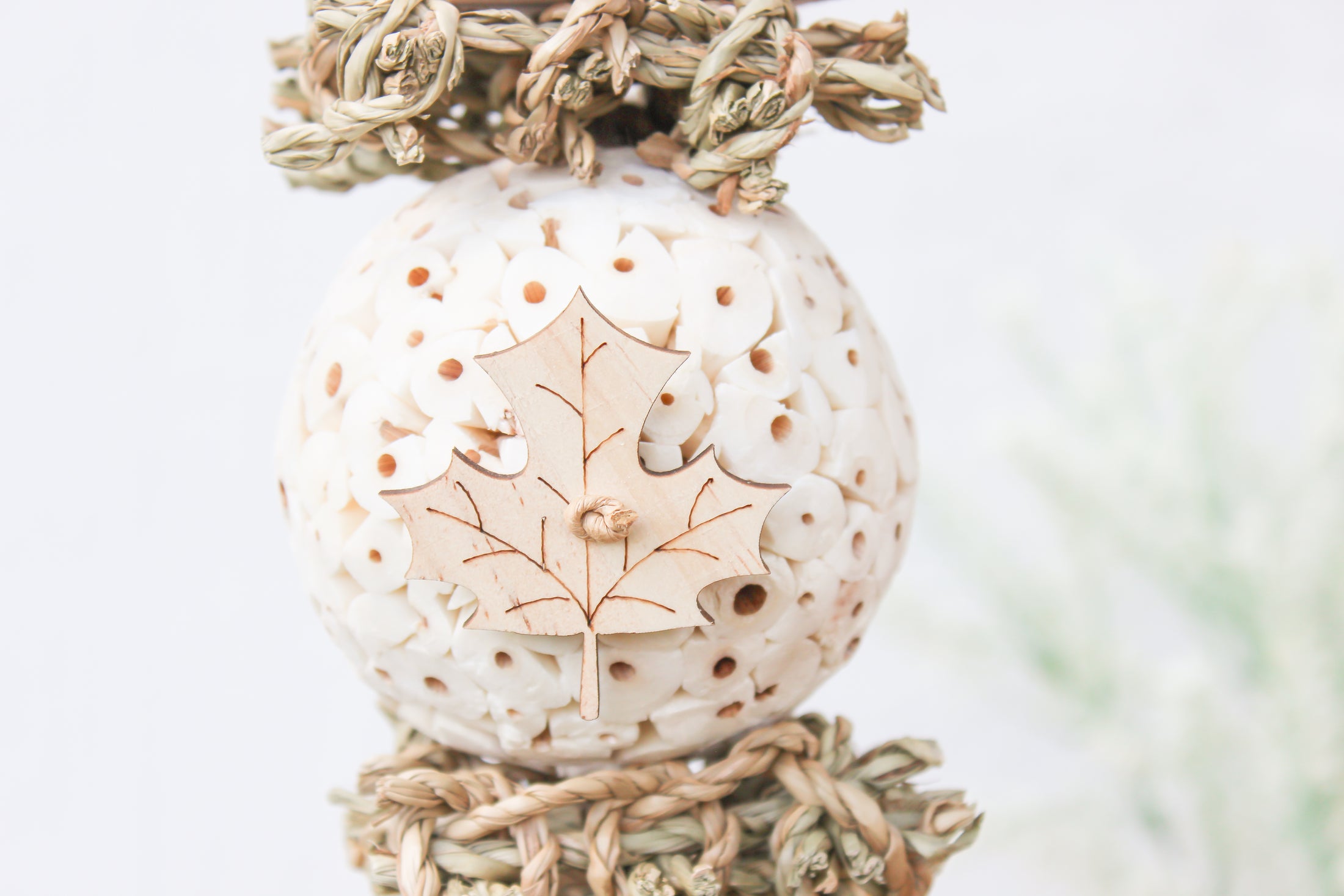 Fall Forest - Autumn Collection