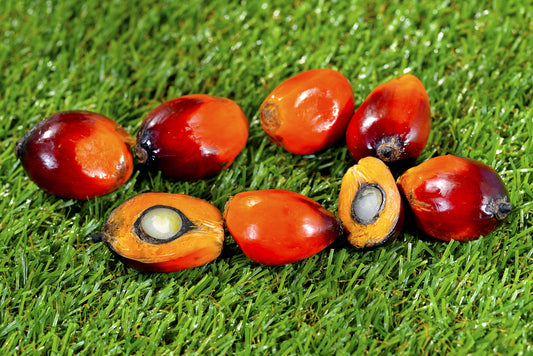 Social and Environmental Impact of Palm Oil