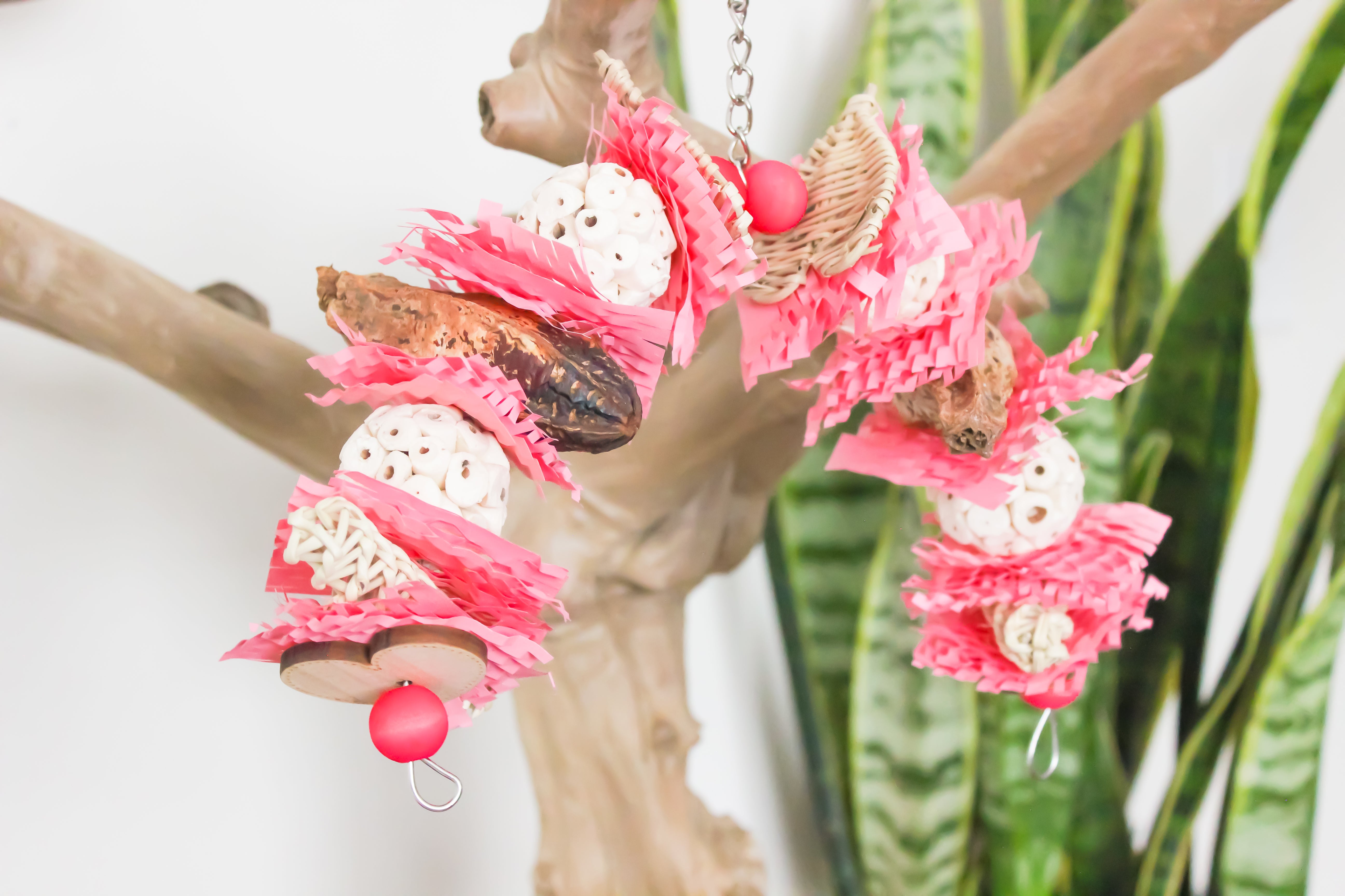 Valentine's Collection is Now Available - Plenty of Bird Toys to Choose From