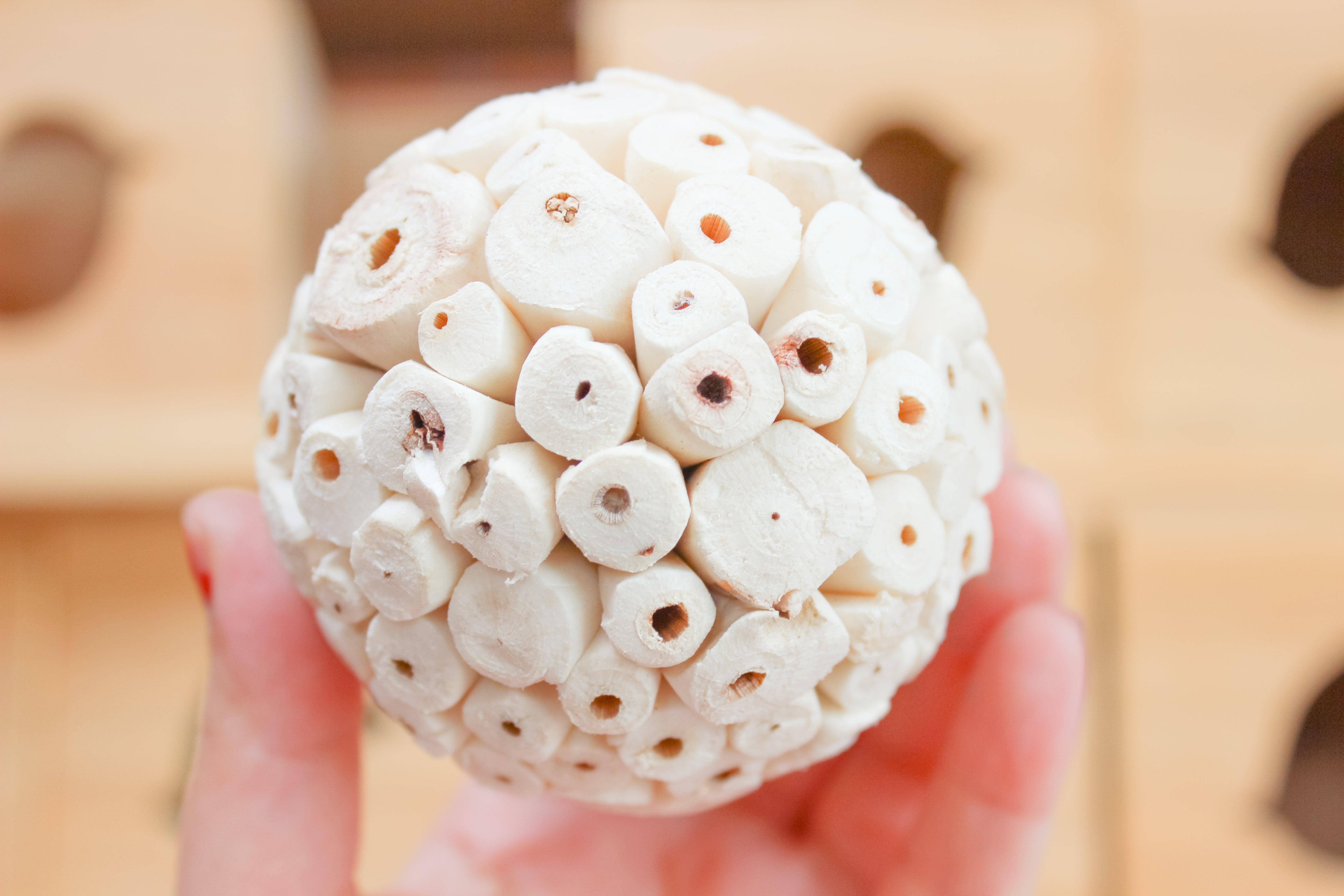 Everything You Need to Know About Sola Wood