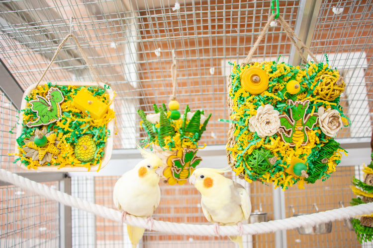 Our New Mystical Dragon Collection For Your Birds is Now Available