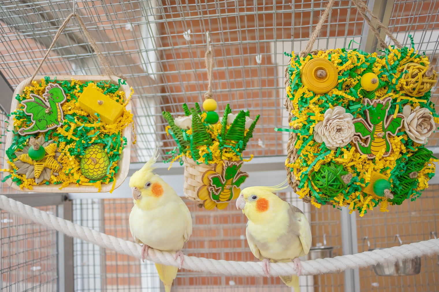 Our New Mystical Dragon Collection For Your Birds is Now Available!