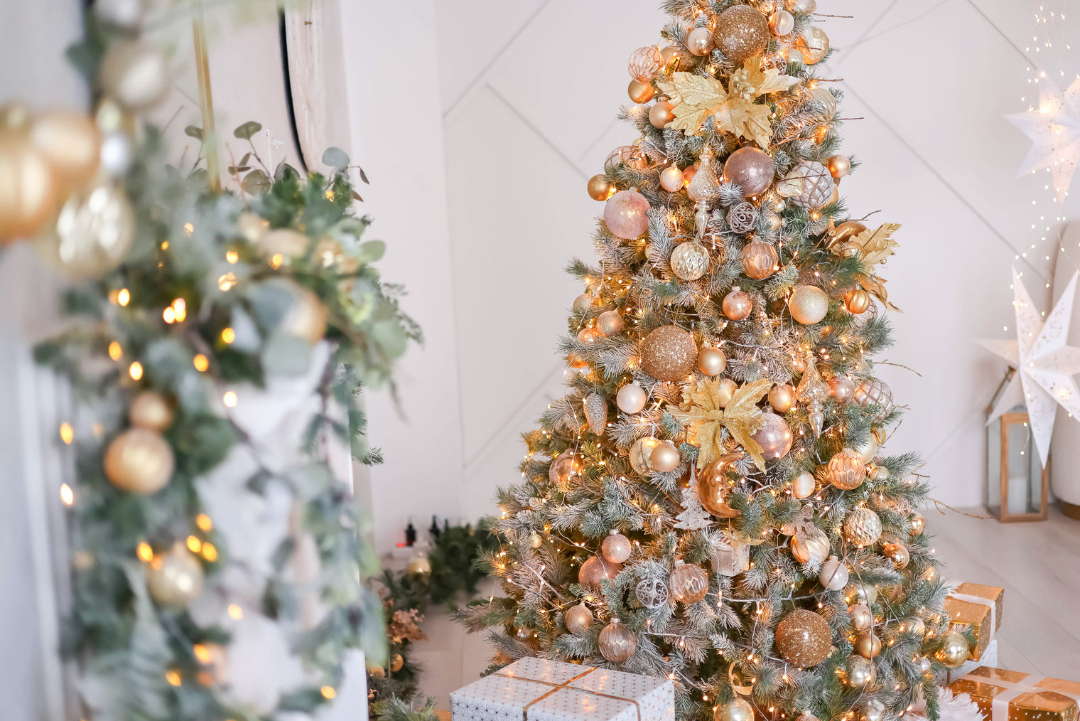 Holiday Safety Tips for Bird Owners: Ensuring a Festive and Safe Season for Your Feathered Friends