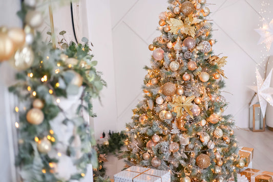 Holiday Safety Tips for Bird Owners: Ensuring a Festive and Safe Season for Your Feathered Friends