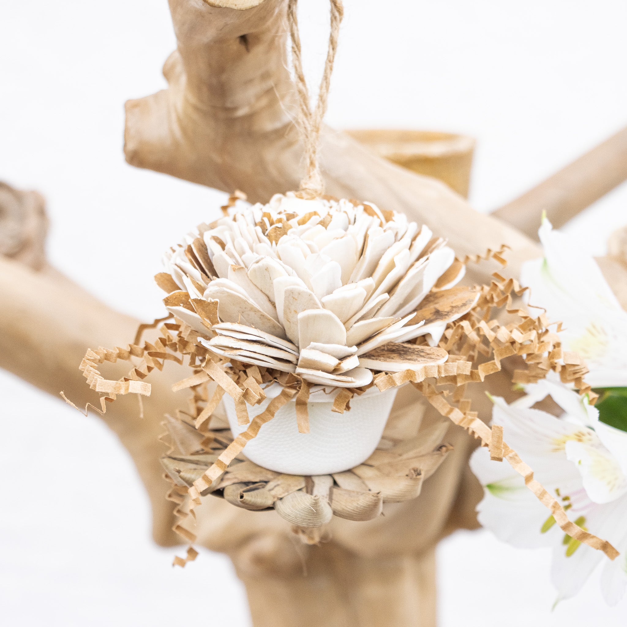 Wildflower - Bunny Bloom Collection