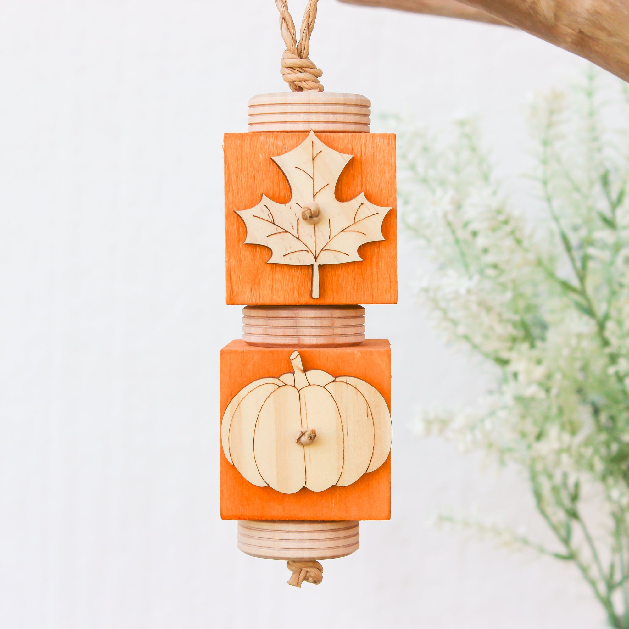 Changing Autumn Colours - Autumn Collection