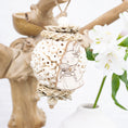 Load image into Gallery viewer, Honeybun - Bunny Bloom Collection
