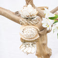 Load image into Gallery viewer, Blossom Breeze - Bunny Bloom Collection
