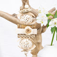 Load image into Gallery viewer, Petal Grove - Bunny Bloom Collection
