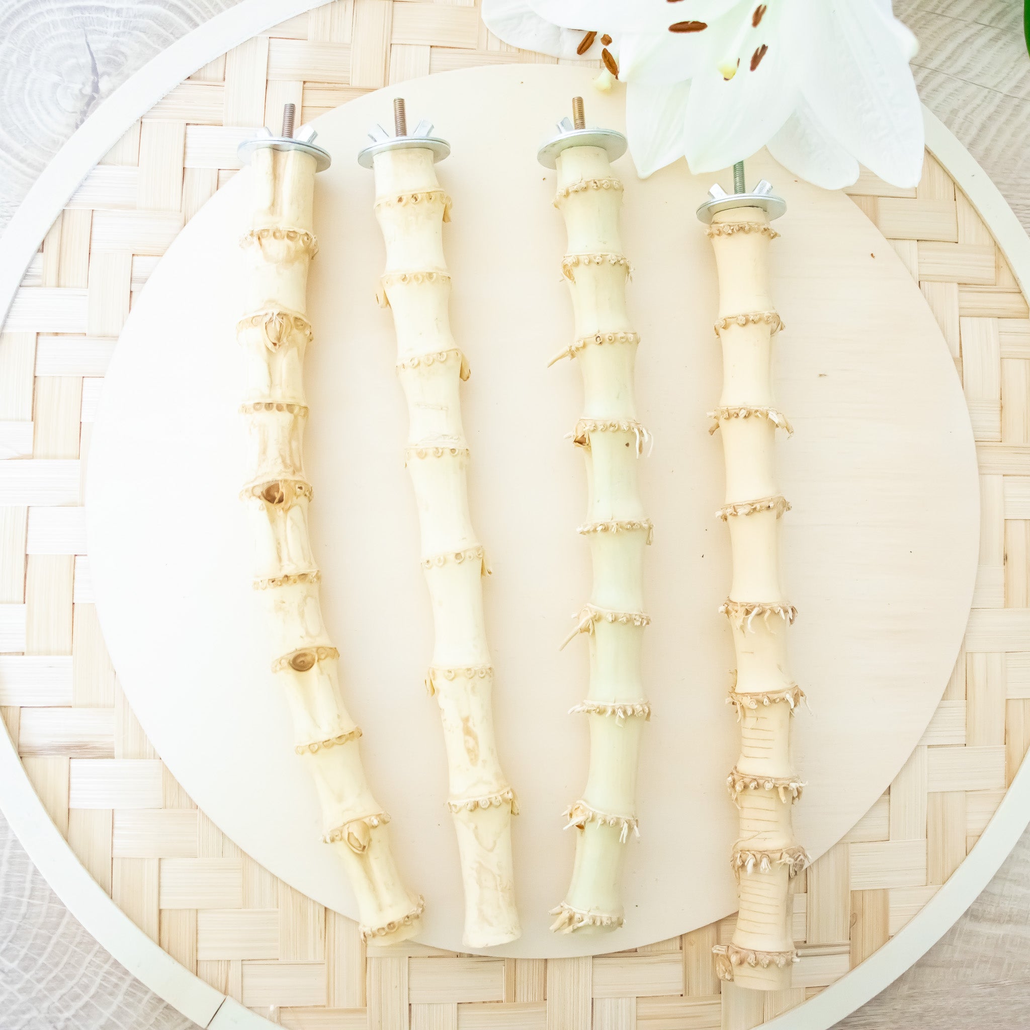 Bamboo Wood Perch - Perch