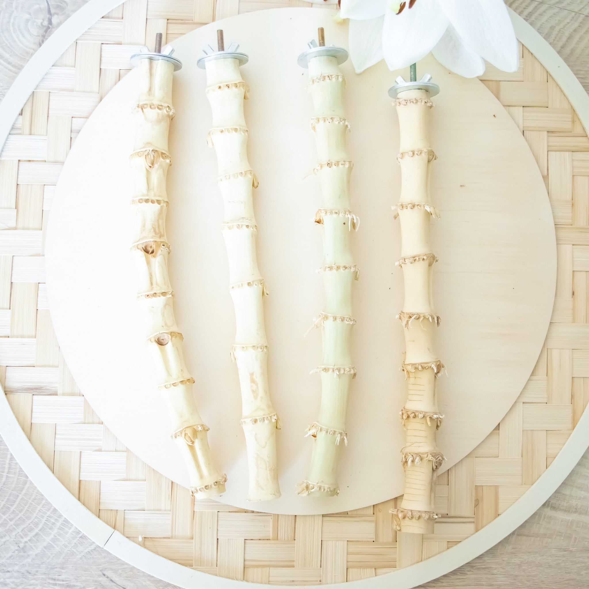 Bamboo Wood Perch - Perch