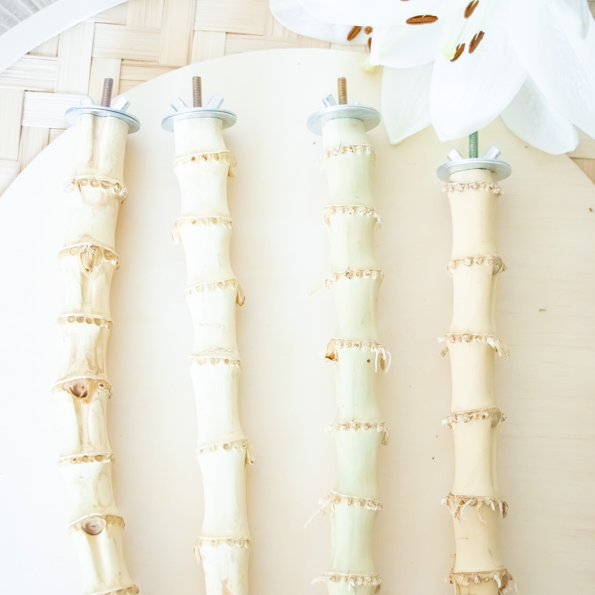 Bamboo Wood Perch - Perch