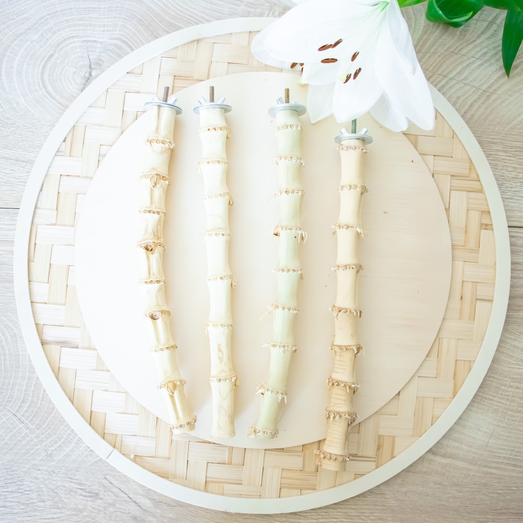 Bamboo Wood Perch - Perch