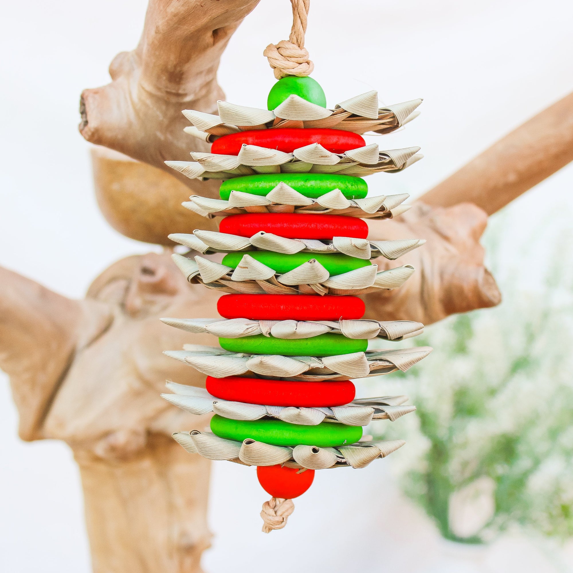 Candycane - Christmas Collection