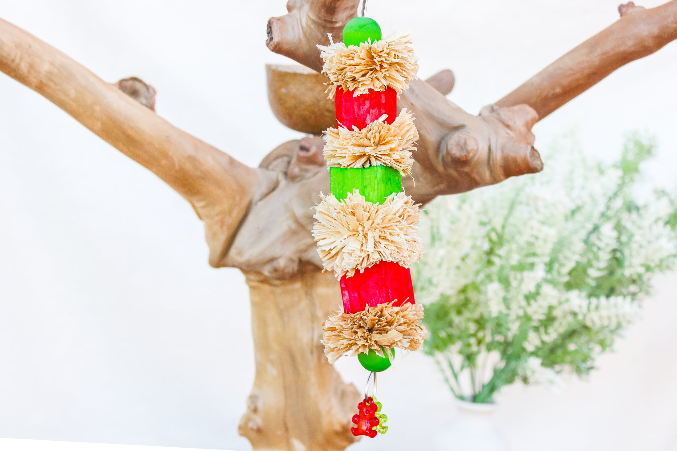 Christmas Sola Munch - Christmas Collection