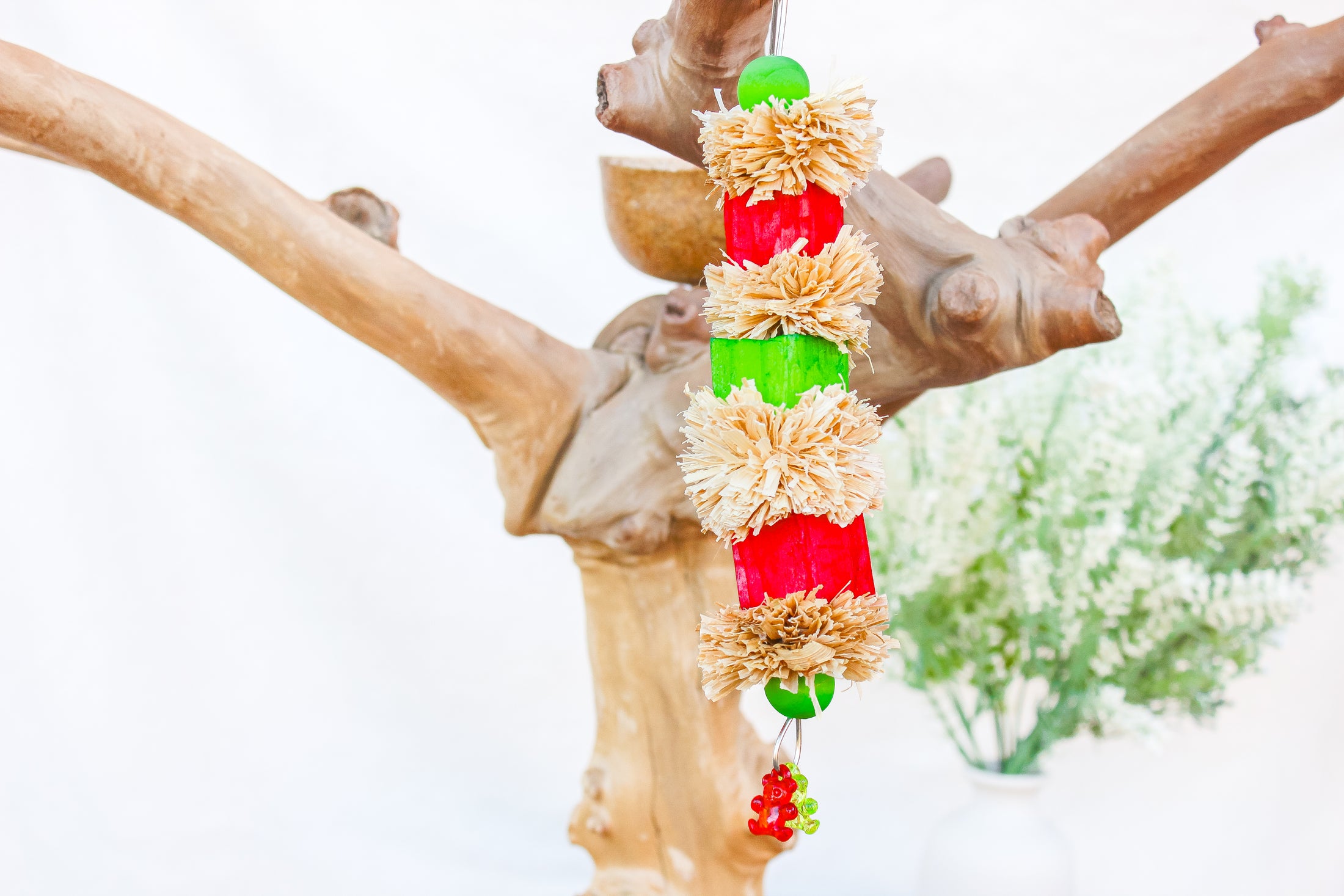 Christmas Sola Munch - Christmas Collection