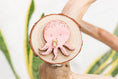 Load image into Gallery viewer, Woodsy Octopi - Foot Toy
